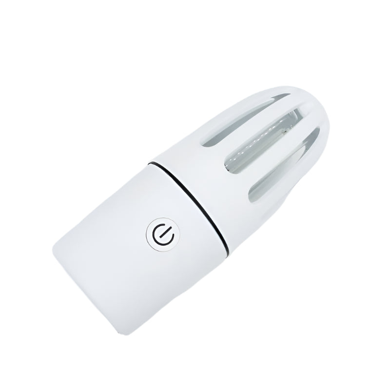 Car UV germicidal lamp