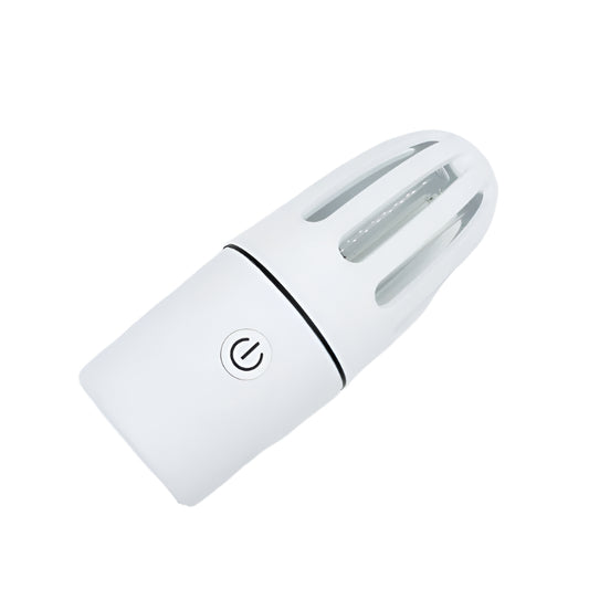 Car UV germicidal lamp